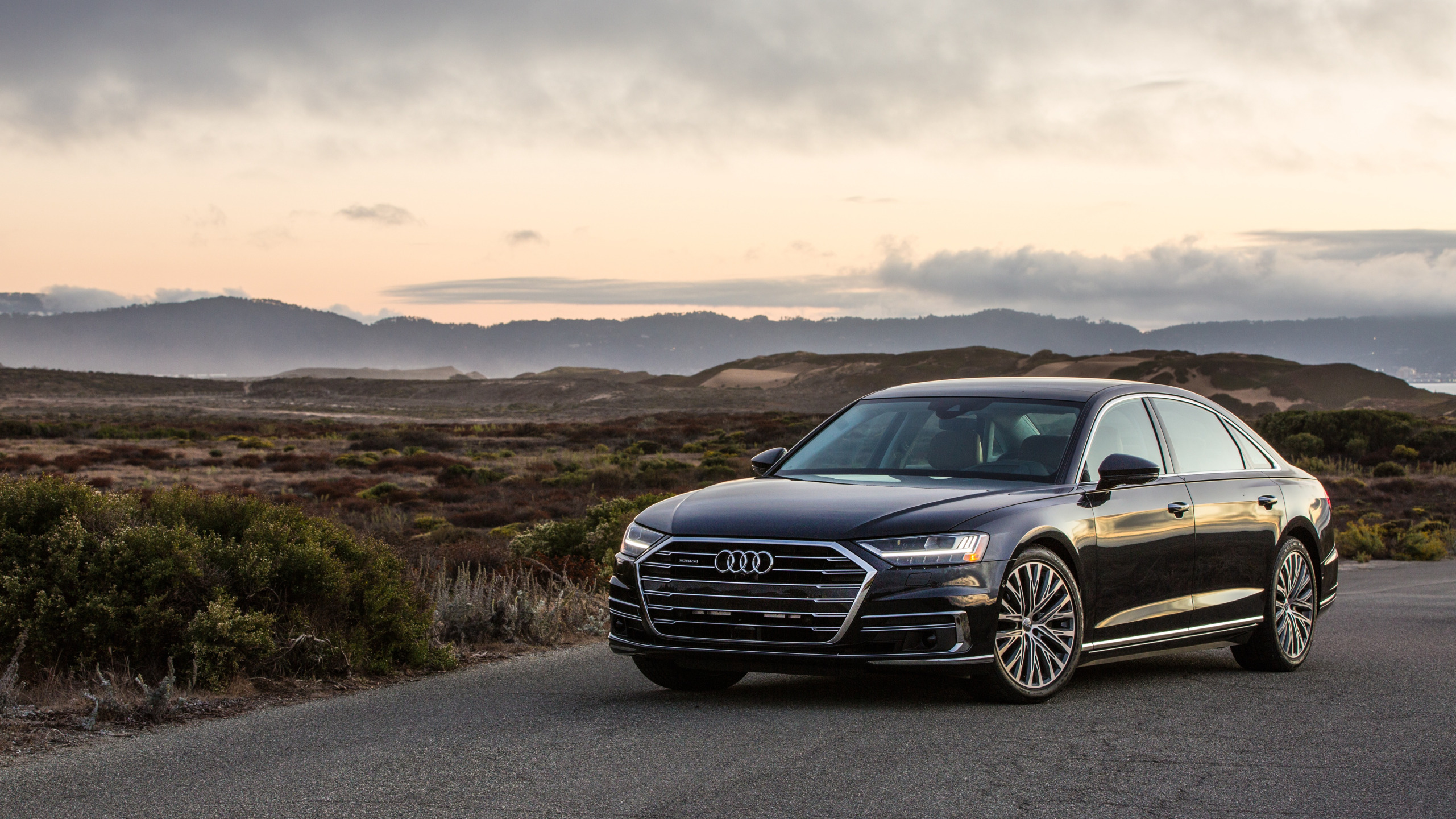 Защита Audi A8